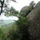 금골산 주유소 이미지