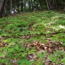 백우농장 이미지