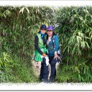 외연도5 이미지