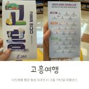 우주관광여행㈜ | 국내여행 남쪽여행 전라남도 우주도시 고흥 1박2일
