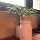 불광황토방 | :Q후기│카페 쓸