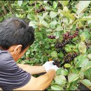 가평뒷동산길 이미지