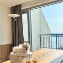 카페 행복시 이미지