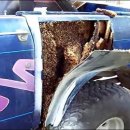 수리수리차수리 이미지