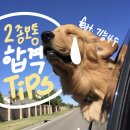 WR(부산광역시 사하구)-[을숙도대로]-하-50 | [장내기능/도로] 부산 남영자동차학원 운전 면허 2종 보통 취득 비용 후기