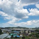 디디모스 | D+1869 대부도 키즈밸리 키즈풀빌라 솜사탕 펜션 여행후기(220730~0731)