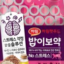 야행성 이미지