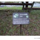 성남시립식물원 이미지