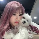 (주)블록베리크리에이티브 이미지