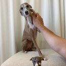 프프프 스토어 이미지