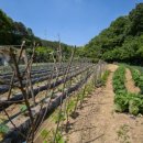 맛탐한우 이미지