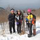 소티제로 이미지