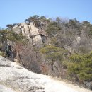 인천수산업협동조합 이미지