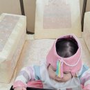 스튜디오돌스