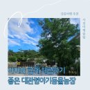 사천농장 | 강릉 아이랑 가볼만한 곳 추천｜사천 대관령아기동물농장 체험 후기