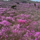 치맥킹신월성점 이미지