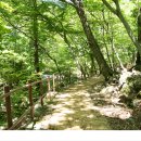 구천동 어사길 이미지