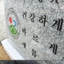 은곡유치원 이미지