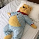 마방로10길 54-19 (1) | 이러다 죽겠어