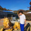 한판유도관 | [25.11.15] 예산윤봉길배 충남 생활체육 유도대회, 그 후기(feat. 한판모음집! 천안대한유도관)