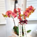 이정원헤어 이미지