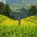 황금빛PC 이미지