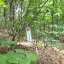 157.산업단지삼거리_1 | 동서트레일 5구간 [서산] 율목정미소 ~ 팔봉산 오송리주차장 (2026.5.26일)