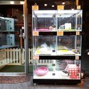 도그마루(왕십리점) 이미지