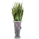 정화미용실 이미지