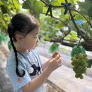 이레목장 1 이미지