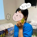 청춘takoyaki | 피치못하게 피치항공타고 오사카 다녀오다-1일차(오렌지 스트리트, 치이카와, 오코노미야끼)