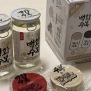 Q기획 | 백화수복원컵 + 헥사얌얌실리콘뚜껑 기획팩 구매후기👍🏻