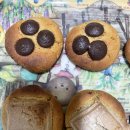 세븐일레븐 용인영화점 | 일상블로그)6월 첫째주의 일상일기 주간일지 소소한일상