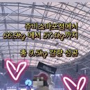 (주)쥬비스다이어트 마포점 이미지