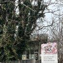 당진양돈영농조합법인 | 당진 블루리본 맛집, 신리성지 맛집 - 미당면옥