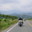 부산(신녕) 이미지