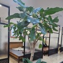 누가의료기 누가페 용산점 | 누가의료기 누가페 발산점에서 의료기기체험 만족하고 온 찐후기