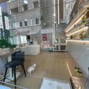 부티나개 이미지