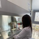 전라북도 보건환경연구원 이미지