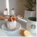 레티피코 이미지