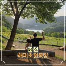 성문안 목장 | 강원도 춘천 아이랑 함께 힐링하기 좋았던 해피초원목장