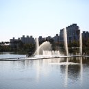 조례호수공원 이미지