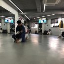 라이프짐MMA 이미지