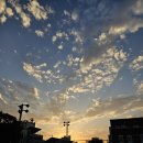 북부정류장 내(건물 앞쪽) | 25년 10월 일상 : 울릉도 5박 6일 여행기, 첫째날