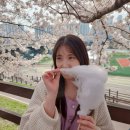 우와담 | 등산/신도림 우월소곱창/문래 찰랑/망향비빔국수/횡성 우와담/합정 타테이와/영등포 간장게장 라메흐꺄도