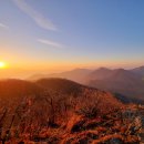 국토종주 11구간, 박이뫼산에 부는 바람꽃 이미지