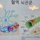 윤허브