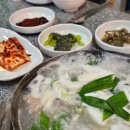 속초곰치국 | [강원/속초] 아침식사로 해장하다 더 마시겠탕. 속초 물곰탕(곰치국)_야삼정식당