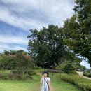 연조공원 이미지