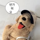 매팅클